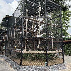 Crab-eating Macaque Exhibit - Lion Park