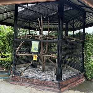 Raccoon Exhibit #5 - Lion Park