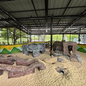 Prairie Dog Exhibit - Lion Park