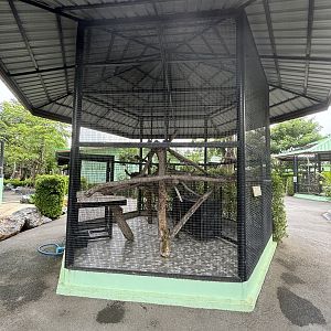 Tamandua Exhibit - Lion Park