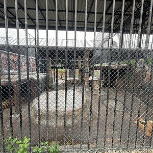 Tiger Exhibit - Lion Park