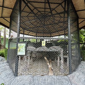 Cougar Exhibit - Lion Park
