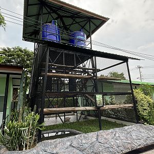 Ring-tailed Lemur Exhibit - Lion Park