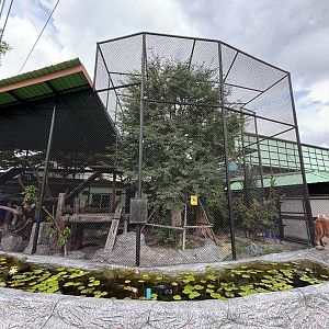 Empty Exhibit - Lion Park