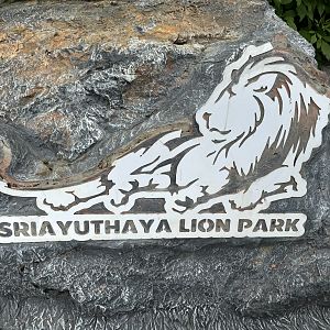 Lion Park Logo