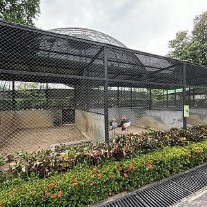 Assorted Aviaries - Lion Park
