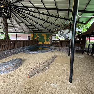 Giant Anteater Exhibit - Lion Park