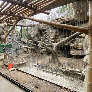 Sunda Cloded Habitat