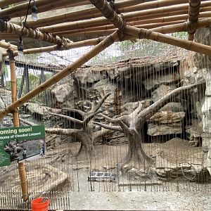 Sunda Clouded Habtat