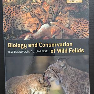 Biology and Conservation of Wild Felids