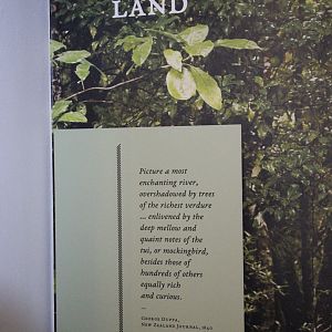 "Bird Land" (taxidermy birds) signage, Petone Settlers Museum