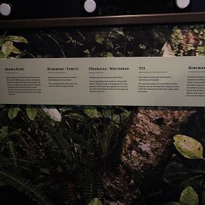 "Bird Land" (taxidermy birds) signage, Petone Settlers Museum