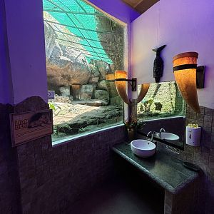 Men’s Washroom - Lion Den