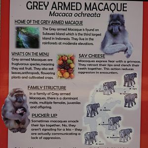 Booted Macaques sign