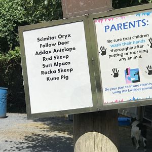 Old Petting Zoo list