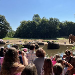 Crowd at C’Sar’s 50th birthday