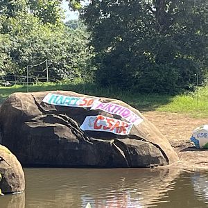 C’Sar’s birthday banner