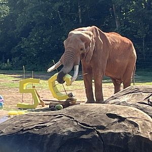 C’Sar destroying his 50