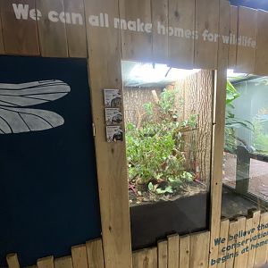 Bugs at Home exhibit 130624