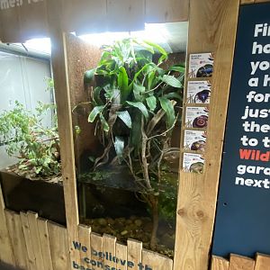 Bugs at Home exhibit 130624