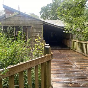 Monkey Heights 130624