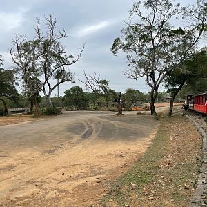 View from Safari Train