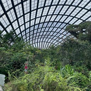 Butterfly Dome