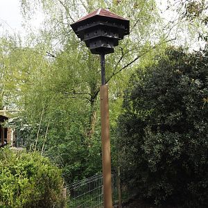 Wild house sparrow nesting tower, 2024-04-14