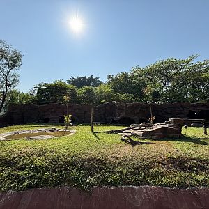 Komodo Dragon Exhibit - Solo Safari