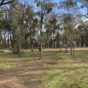 Old Children’s Zoo and Aviaries