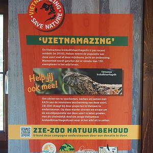 Vietnamese crocodile lizard signage as part of EAZA Vietnamazing campaign, 2024-04-14