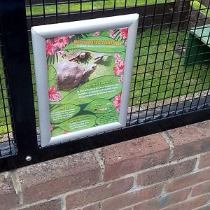 Signage in flamingo aviary