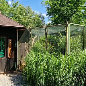 Kagu and horned parakeet aviary