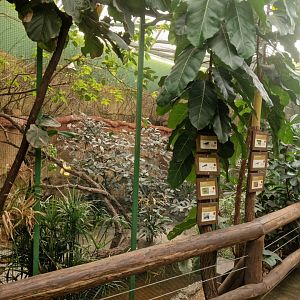 Aviary inside the Pygmy hippopotamus house