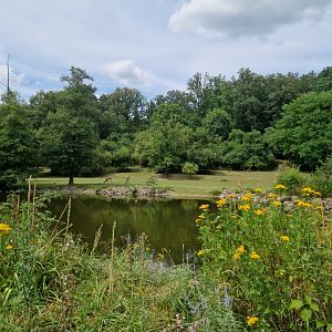 View of African savanna exhibit