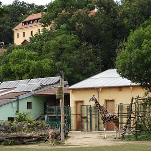View of giraffe and rhinoceros house