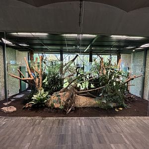 Renovated Cotton-Top Tamarin+Three-Banded Armadillo Enclosure