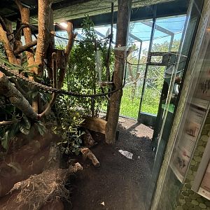 Renovated Cotton-Top Tamarin+Three-Banded Armadillo Enclosure