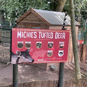 Tufted Deer Signage
