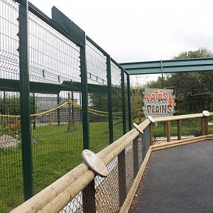 New out door area for Patas monkeys