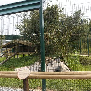 New out door area for Patas monkeys