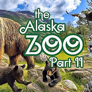 The Alaska Zoo Part II (The Virtual Zoo YouTube channel)