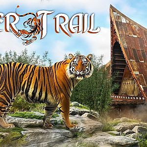 Tiger Trail | Zoo Tours