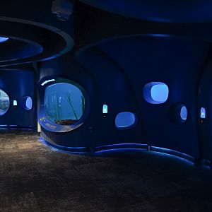 'At home in the Ocean' first half