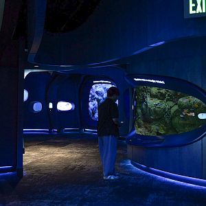 'At home in the Ocean' second half