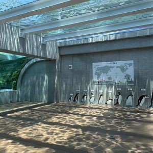 Penguin exhibition