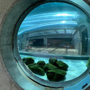 Penguin exhibition (from outside)