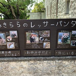 Red panda Introduction board