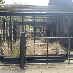 New Eurasian Eagle Owl Enclosure