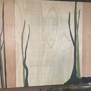 Boarded Up Sengi Enclosure